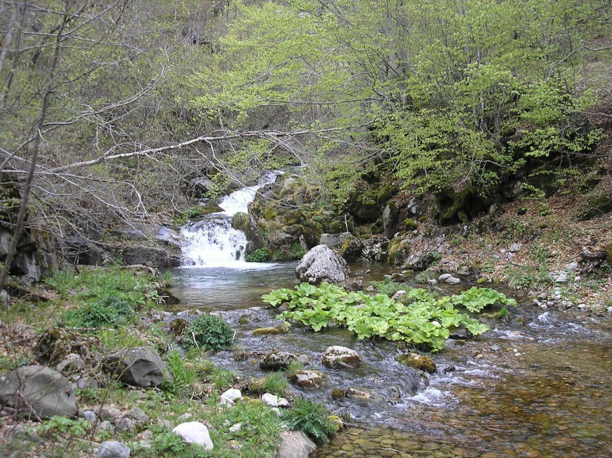 Vila Verusa Екстериор снимка