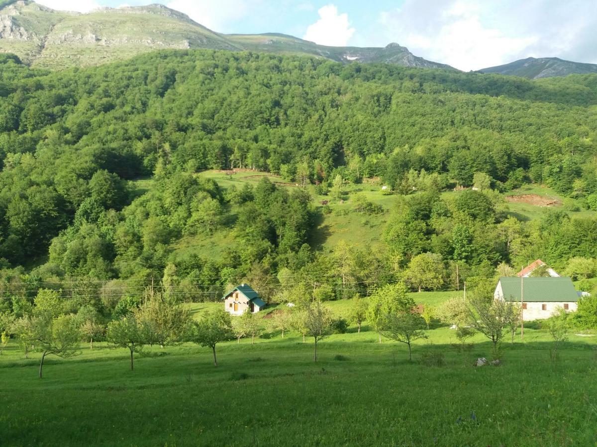 Vila Verusa Екстериор снимка